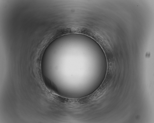 X0000097921249200803211520