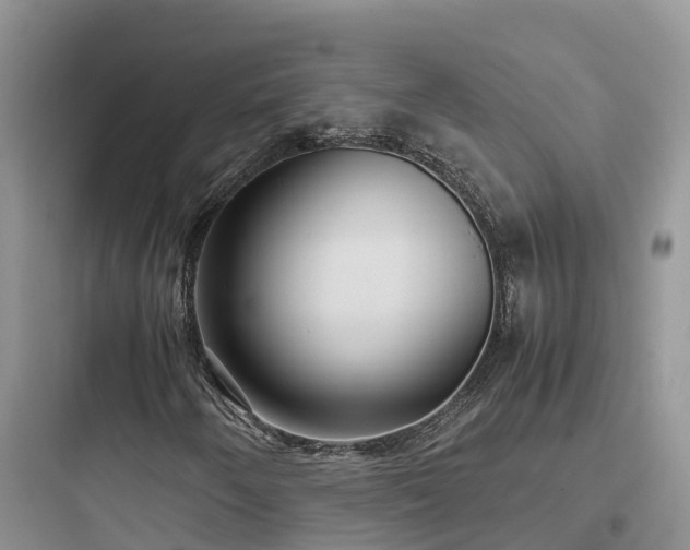 X0000097921250200803211520