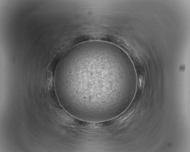 X0000097921251200803211520
