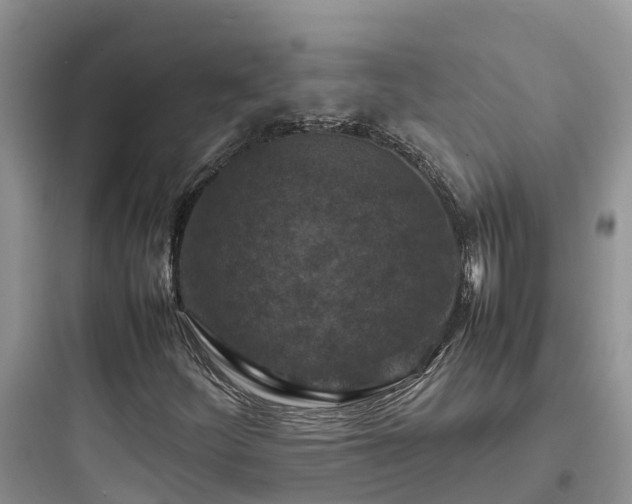 X0000097921252200803211520