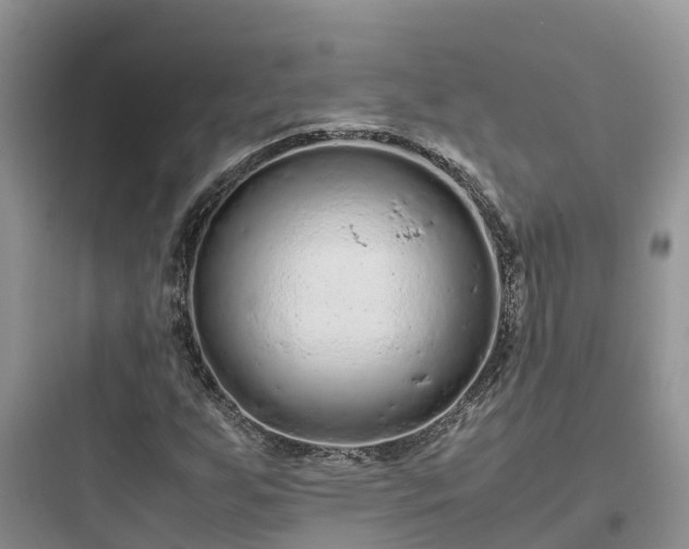 X0000097921255200803211520