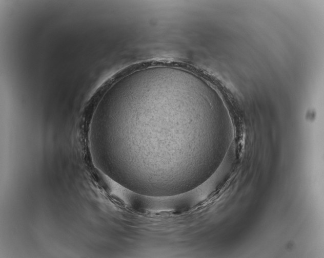X0000097921256200803211520