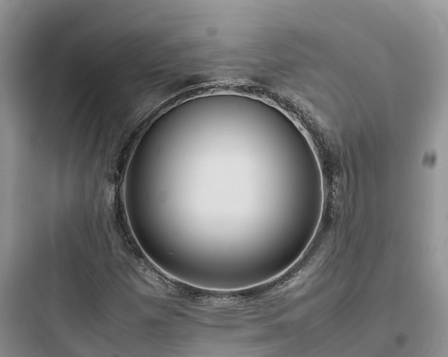X0000097921257200803211520