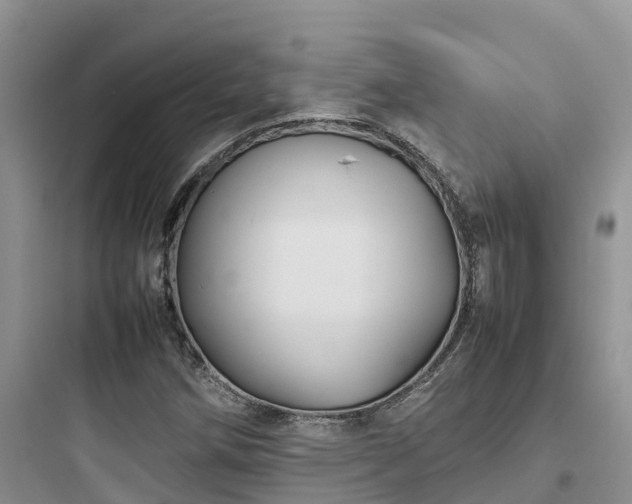 X0000097921258200803211520