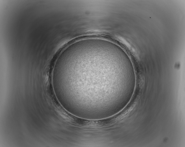 X0000097921259200803211520