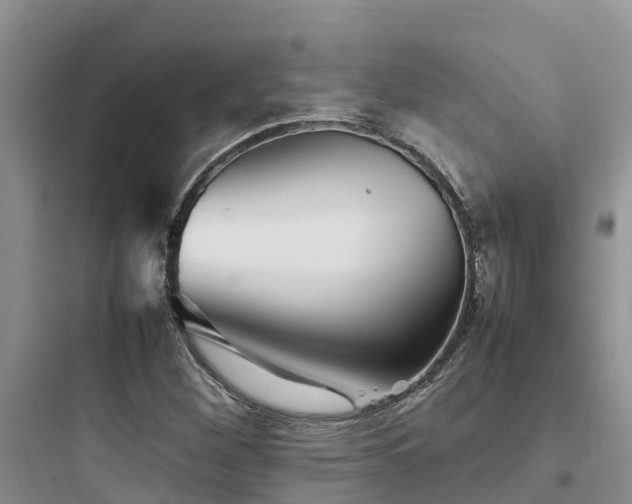 X0000097921260200803211520