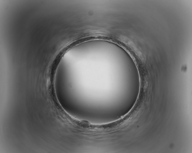 X0000097921261200803211519