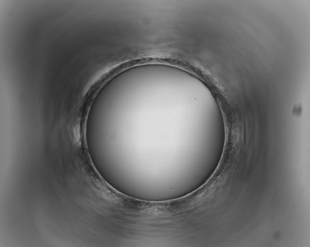 X0000097921262200803211519