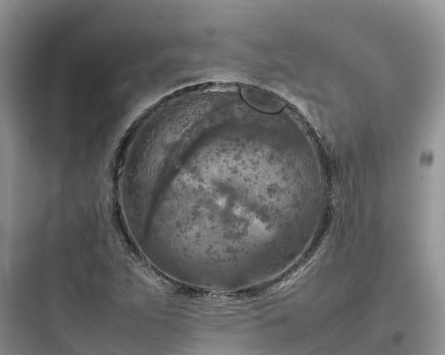 X0000097921263200803211519