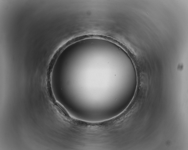 X0000097921264200803211519