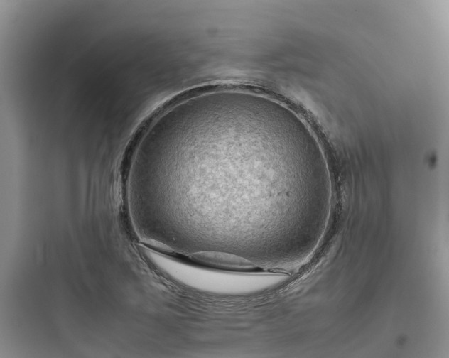 X0000097921267200803211519