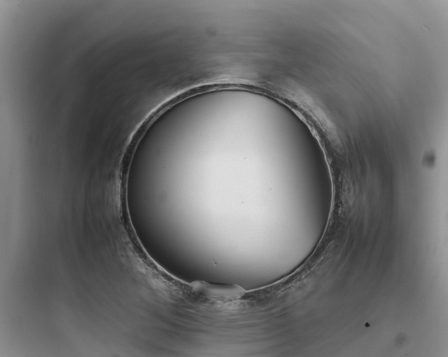 X0000097921268200803211519
