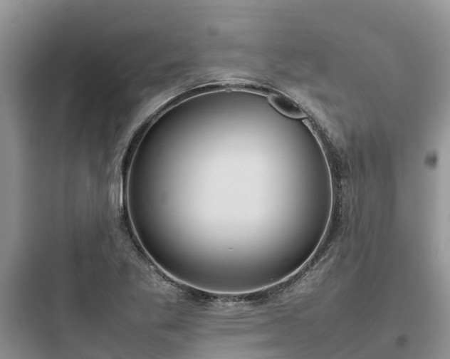 X0000097921269200803211519