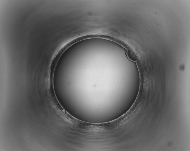 X0000097921270200803211519