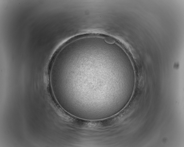 X0000097921271200803211519
