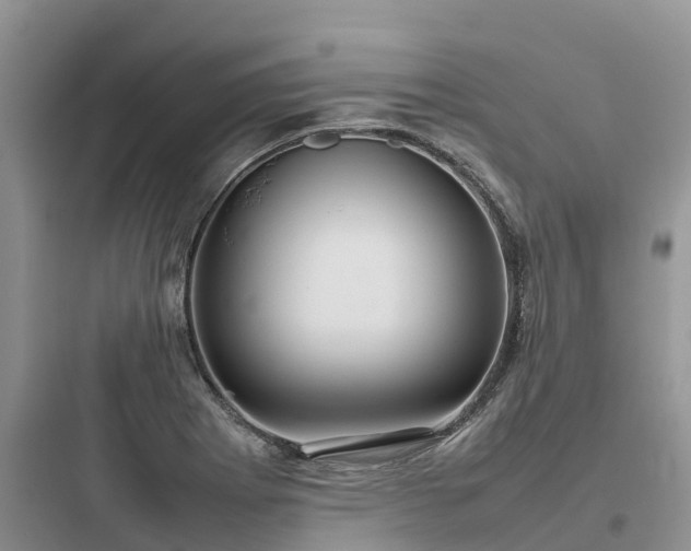 X0000097921273200803211519
