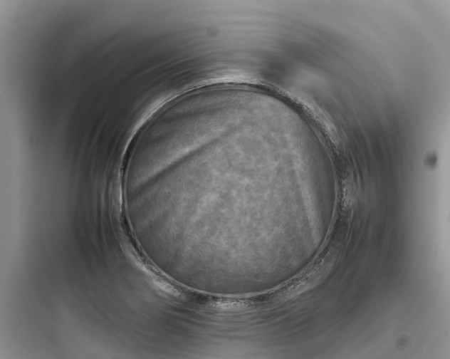 X0000097921274200803211519