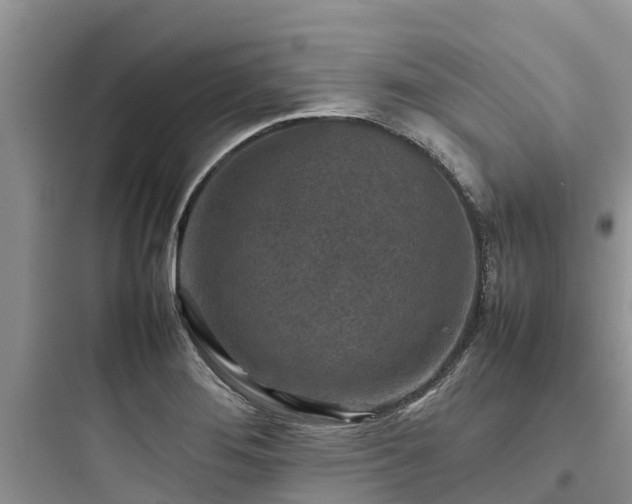 X0000097921276200803211519