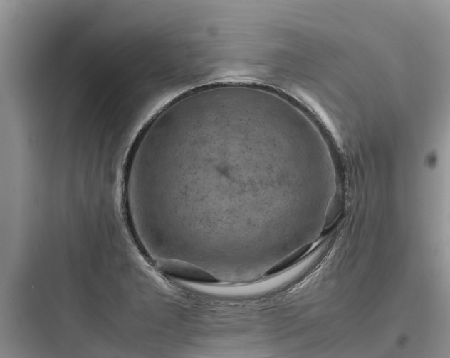X0000097921277200803211519
