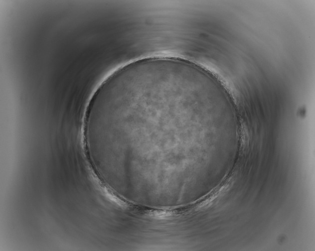 X0000097921278200803211519