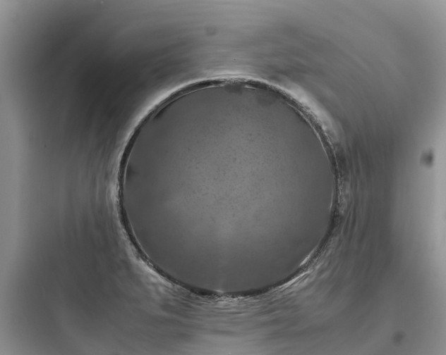 X0000097921279200803211519
