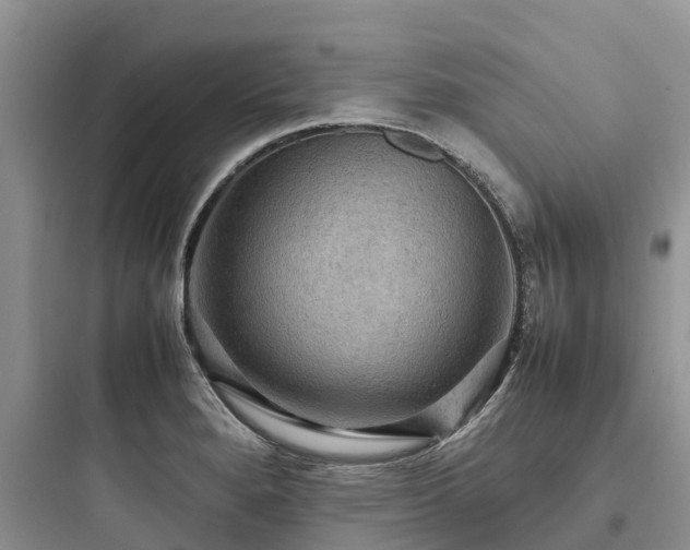 X0000097921280200803211519