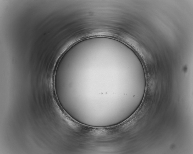X0000097921282200803211519