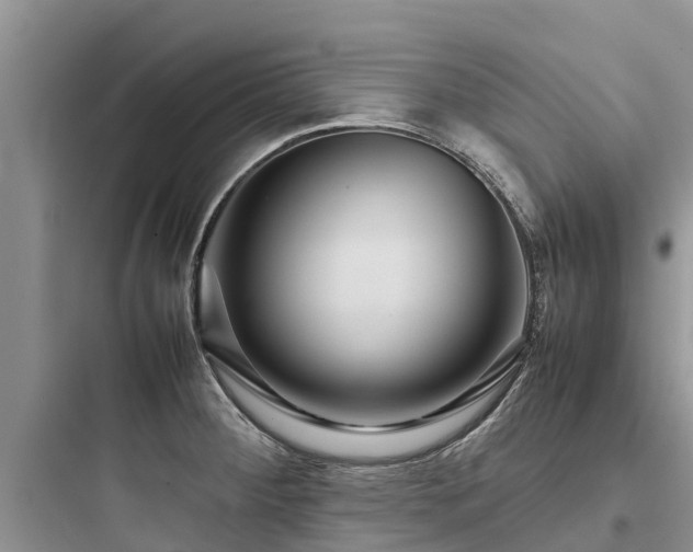 X0000097921284200803211519