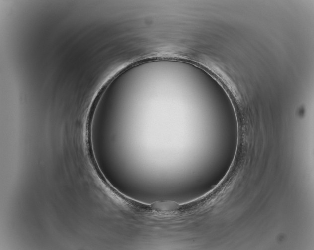 X0000097921285200803211519