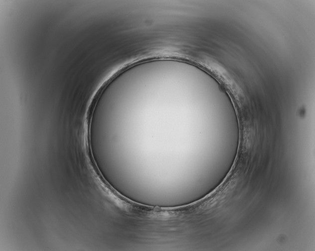 X0000097921286200803211519