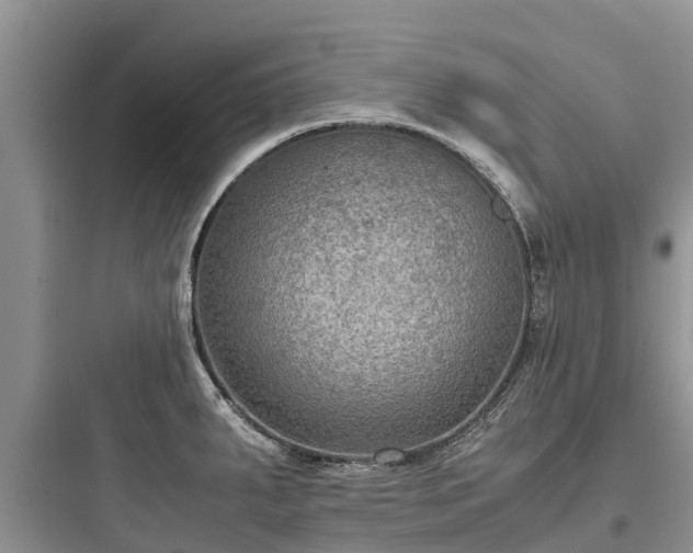 X0000097921287200803211519