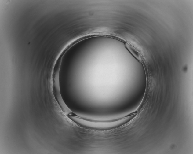 X0000097921288200803211519