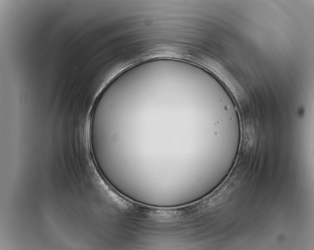 X0000097921290200803211519