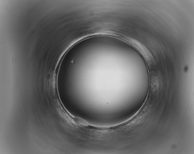 X0000097921292200803211519