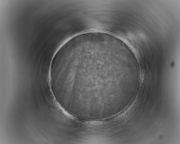 X0000097921294200803211519