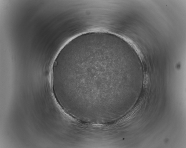X0000097921295200803211519