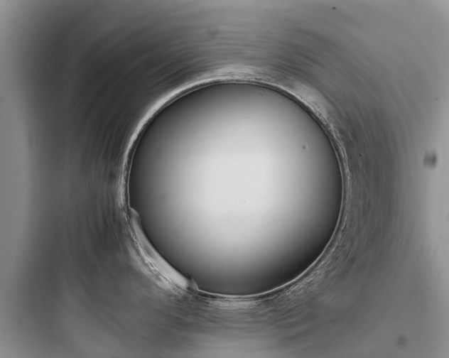 X0000097921296200803211519