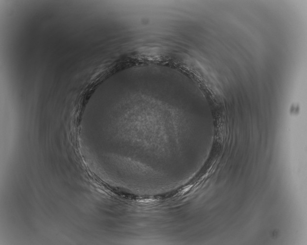 X0000097921297200803211518
