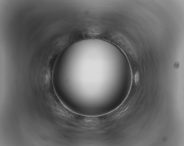 X0000097921299200803211518