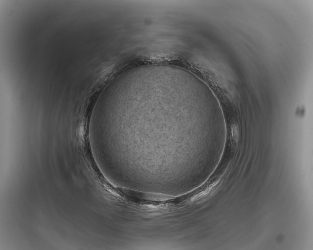 X0000097921300200803211518