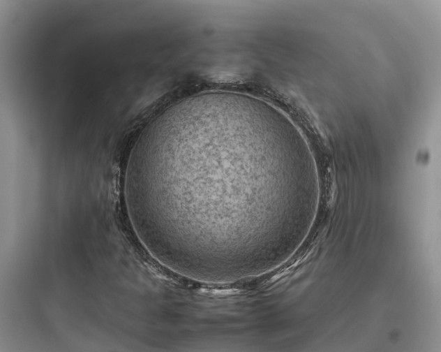X0000097921301200803211518