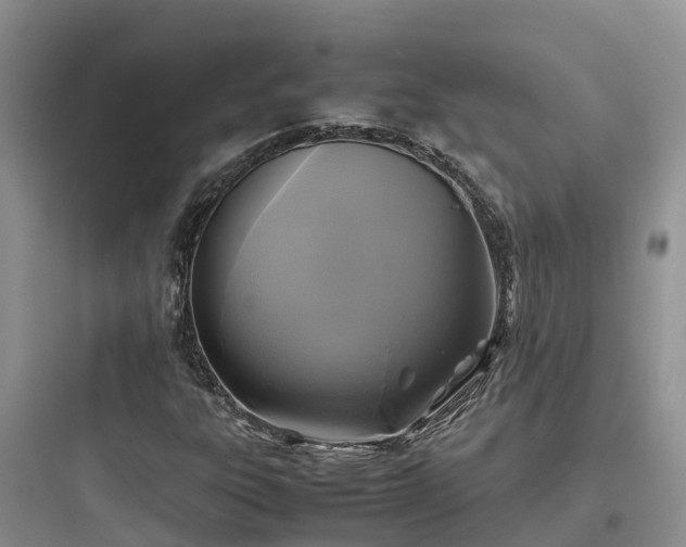 X0000097921303200803211518