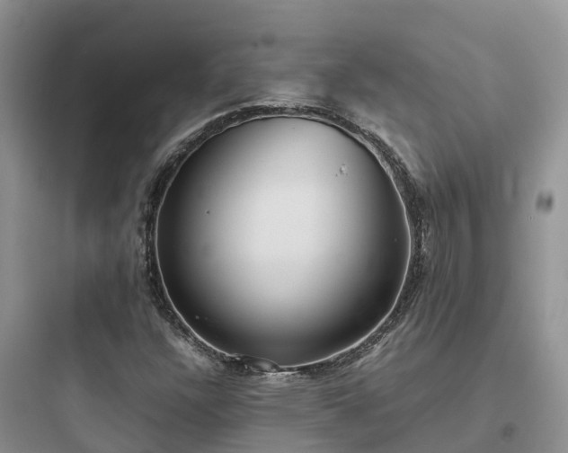 X0000097921304200803211518