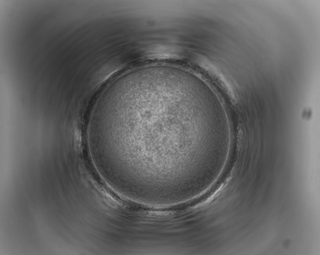 X0000097921305200803211518