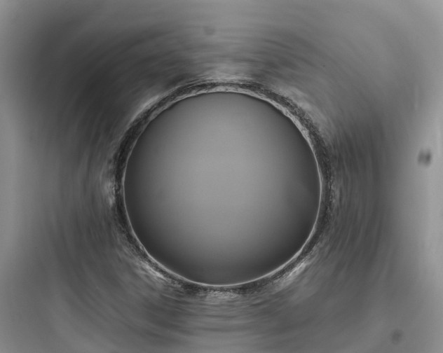 X0000097921306200803211518
