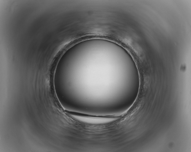 X0000097921307200803211518