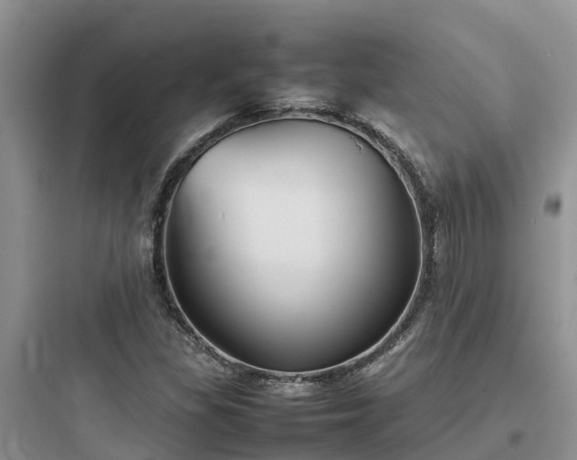 X0000097921309200803211519