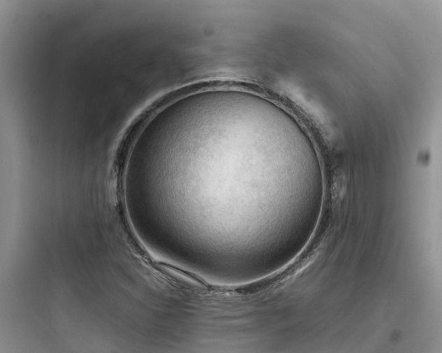 X0000097921310200803211519