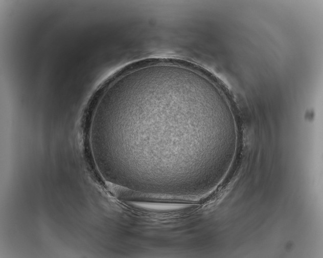 X0000097921311200803211519