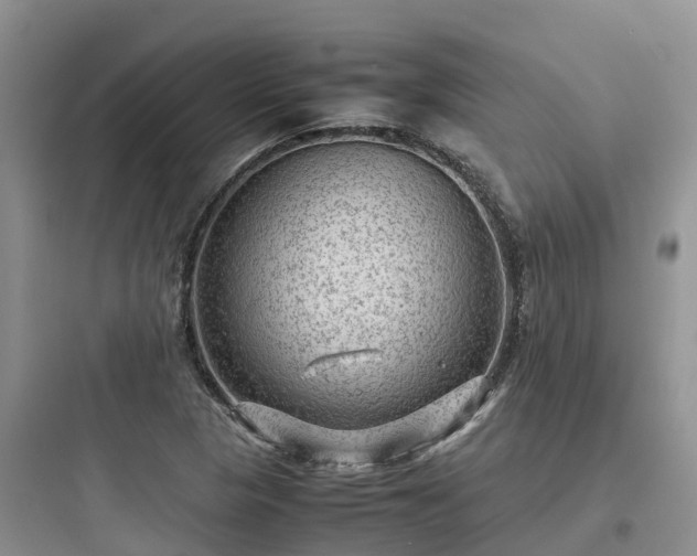 X0000097921313200803211519